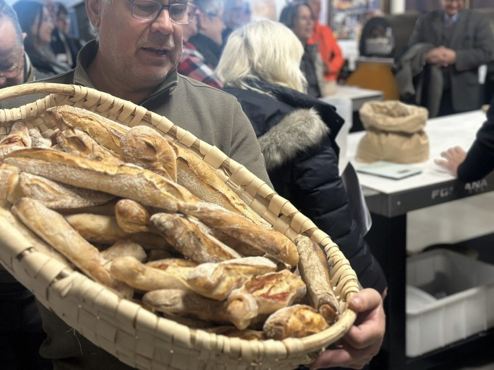 Backworkshop Sauerteig Brot und Weckerl im Holzbackofen – Bild 4