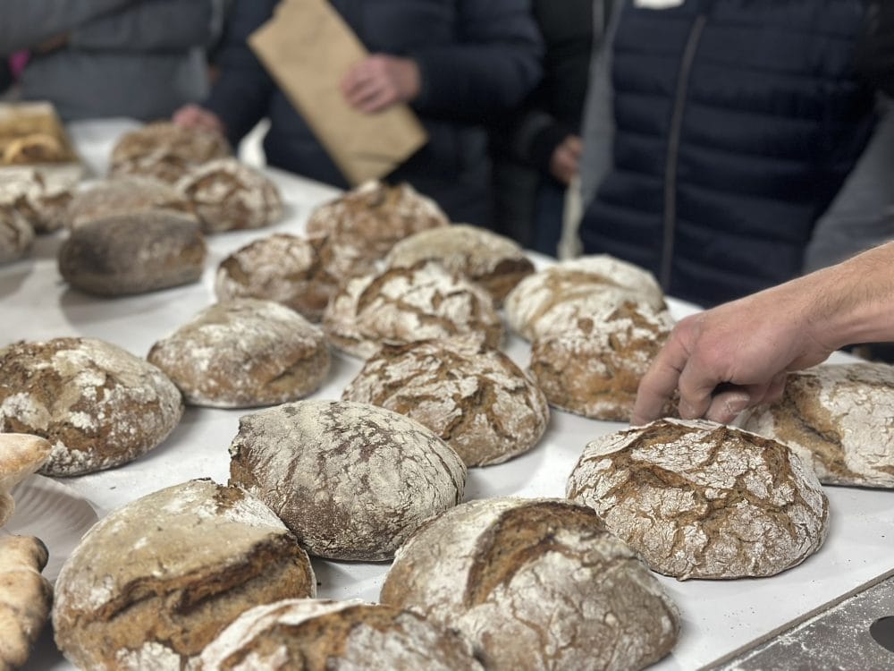 Backworkshop Sauerteig Brot und Weckerl im Holzbackofen – Bild 5